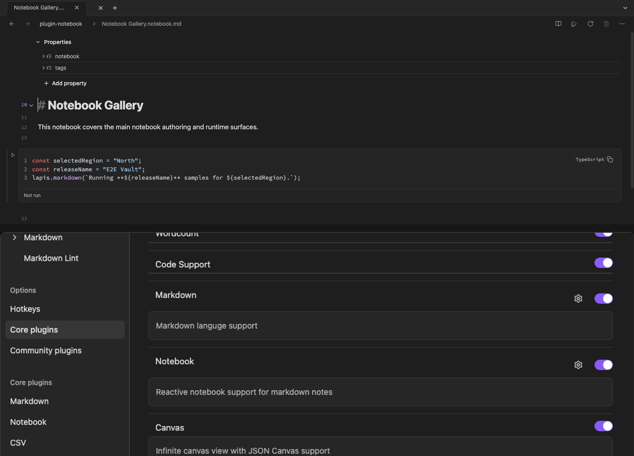 Notebook view beside the Packages panel.